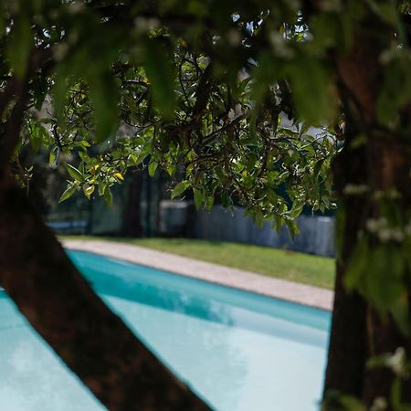 Casa Do Vale -Villa Rio Minho-Seixas-Caminha Dış mekan fotoğraf