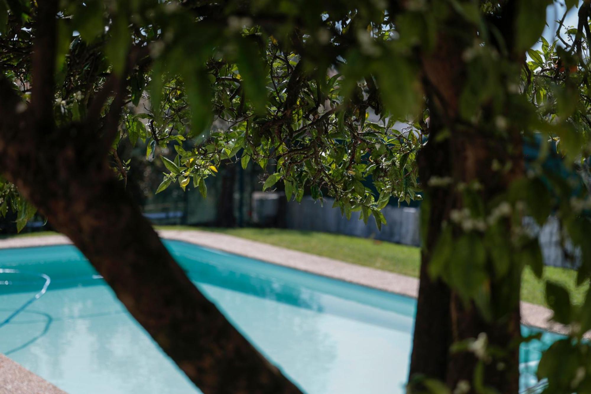 Casa Do Vale -Villa Rio Minho-Seixas-Caminha Dış mekan fotoğraf